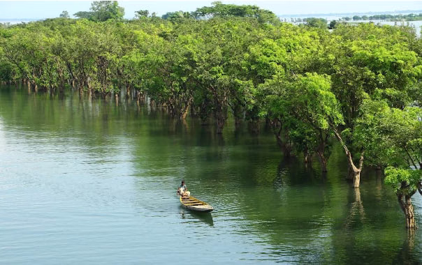 Best Haor Tour in Bangladesh: Tanguar Haor