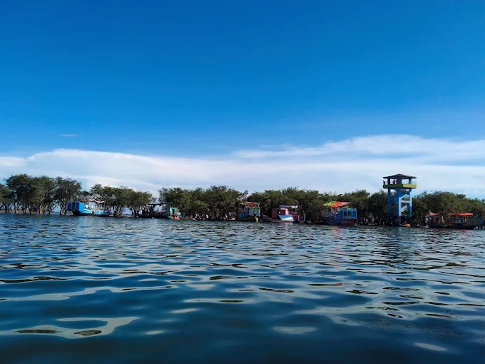 Tanguar Haor Watchtower