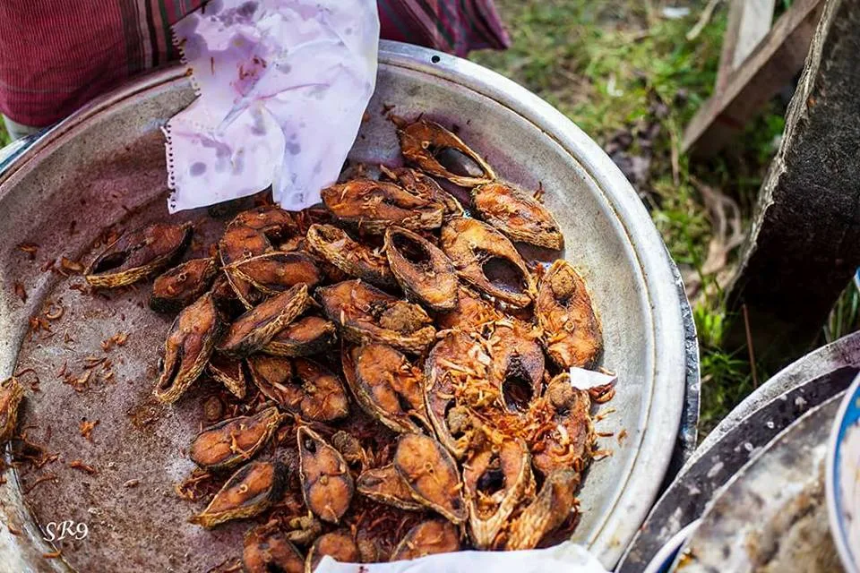 Chandpur Day Tour - City of Hilsa