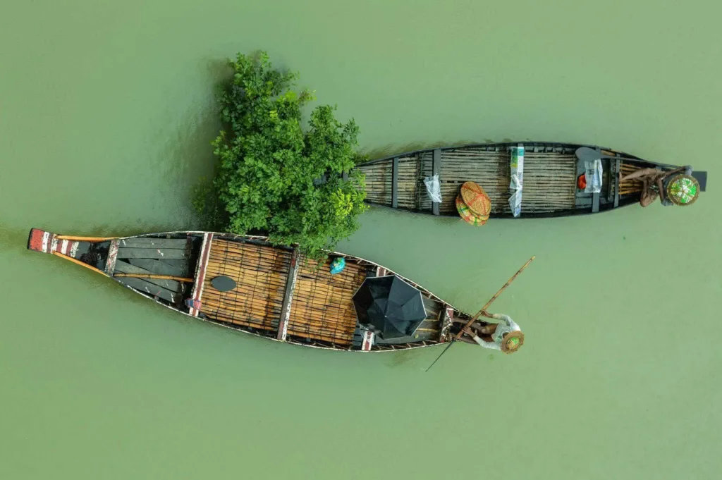 Ratargul Swamp Forest Photos
