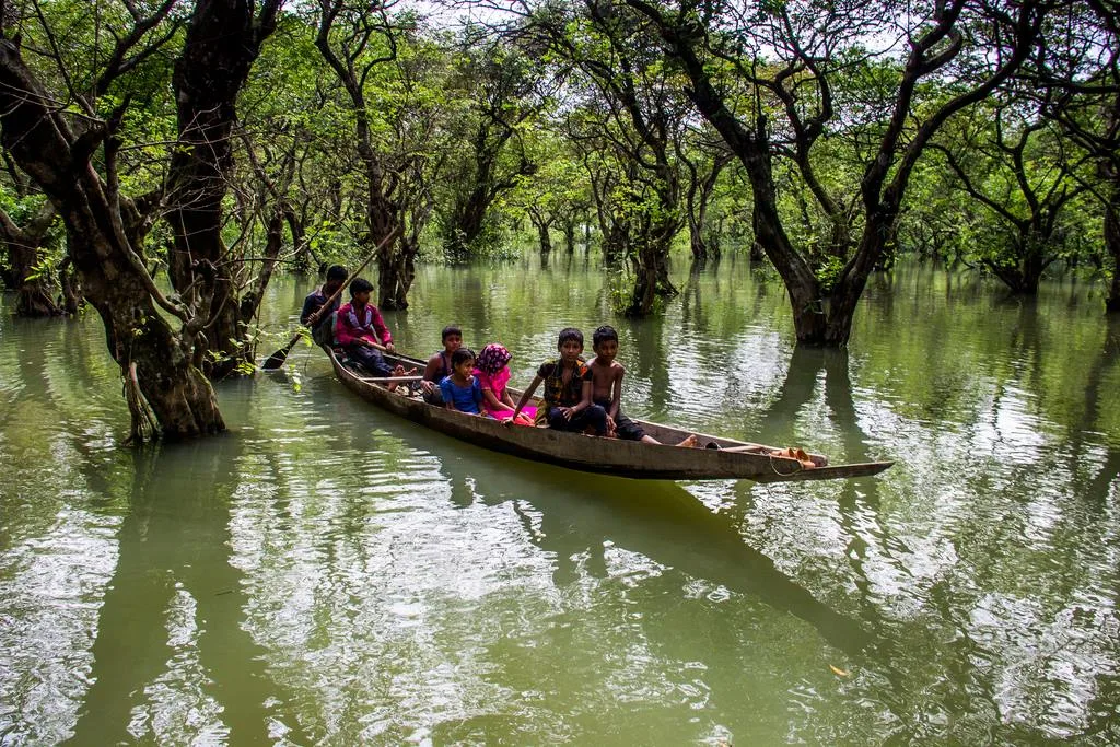 Ratargul Swamp Forest Photos