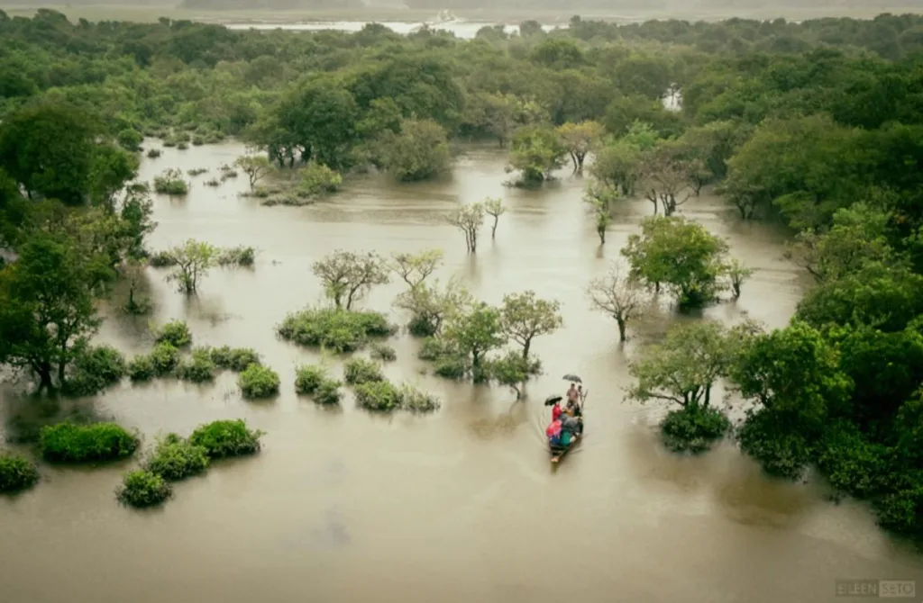 Ratargul Swamp Forest During Monsoon, Photo: EILEEN, Facebook