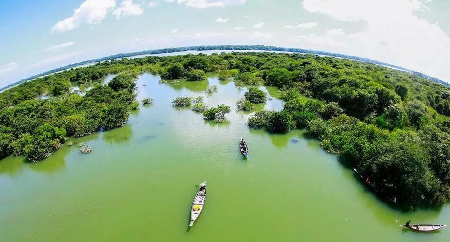 Ratargul Swamp Forest Photos