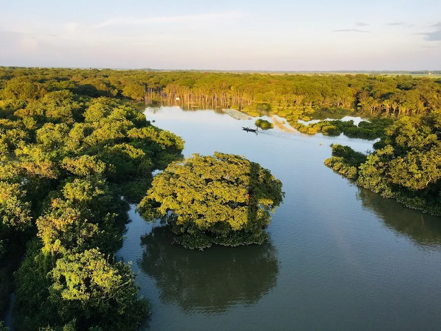 Ratargul Swamp Forest Photos