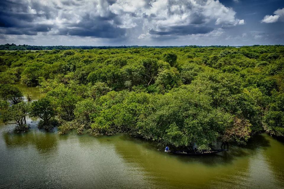 Ratargul Swamp Forest - Sundarbans of Sylhet