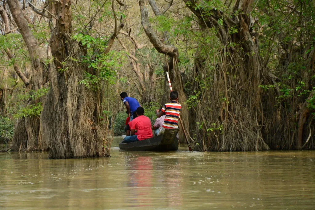 Ratargul Swamp Forest Photos