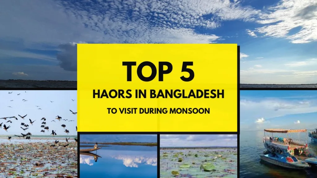 Top 5 Haors in Bangladesh to Visit During Monsoon