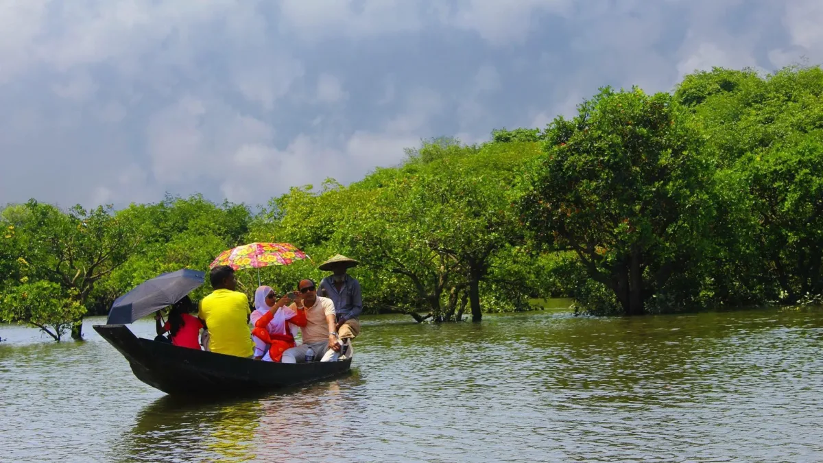 Ratargul Swamp Forest