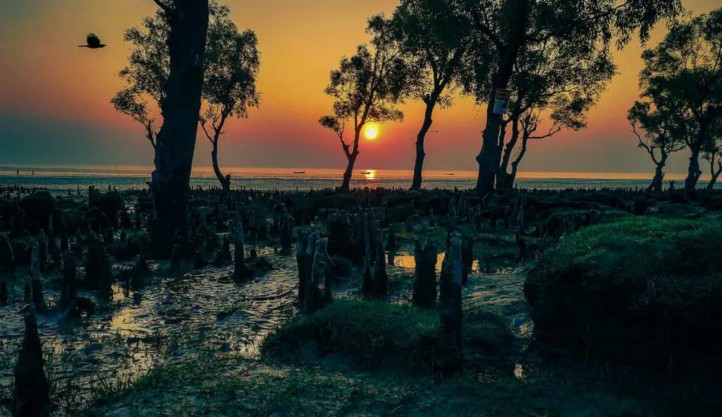 Guliakhali Sea Beach